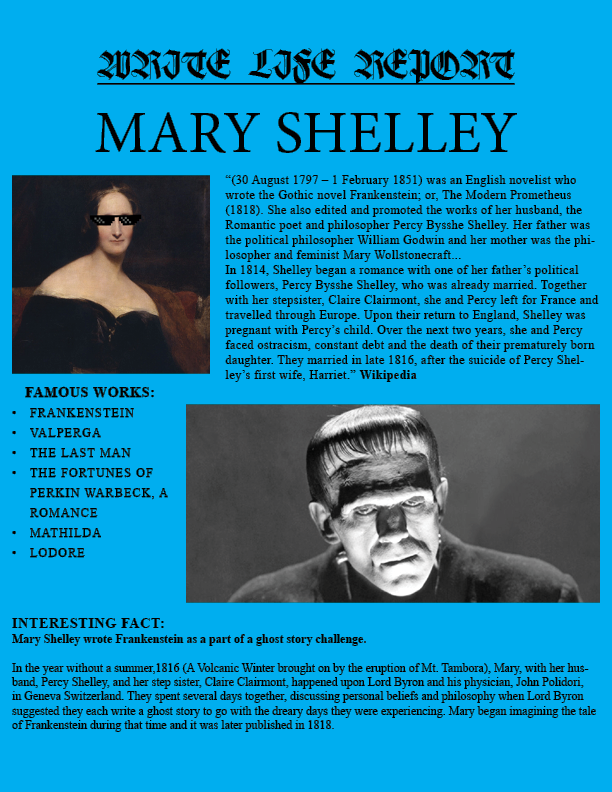 Shelley REPORT ENTRY