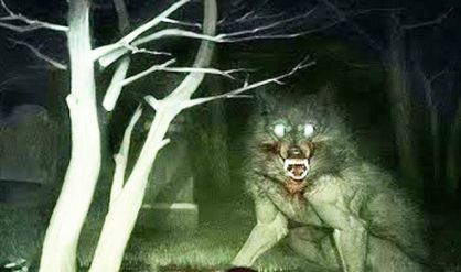 Werewolf-1056224