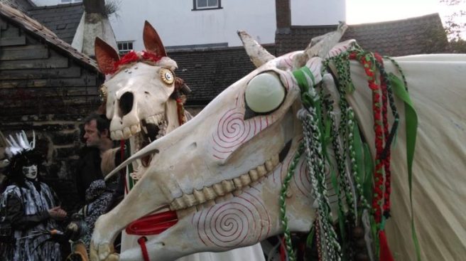 mari lwyd