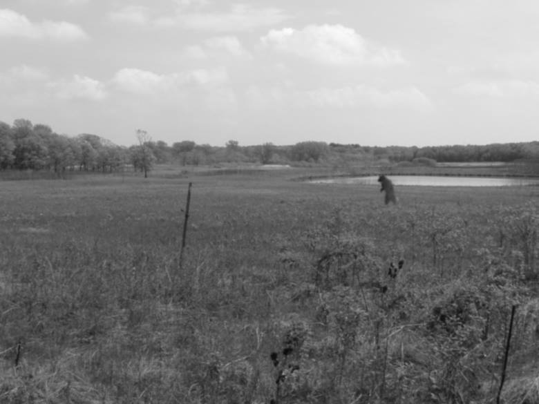 The Cynocephaly! Werewolves? Lycans? Dogmen? What the hell?! Part&nbsp;1